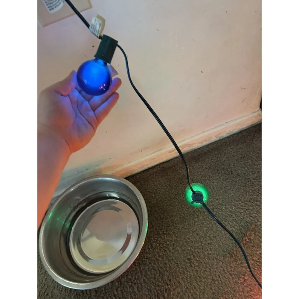 Nordstrom Gumdrop Holiday Christmas Multicolor String Lights Round Bulbs Olive